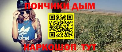 соль ск Дубна